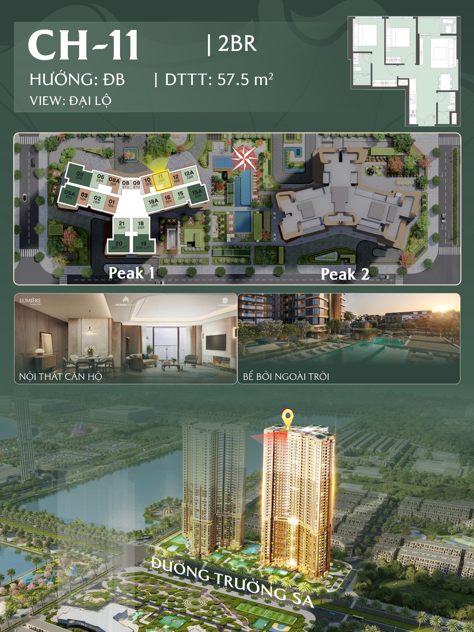 Chỉ căn chỉ trục